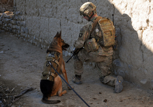 militaryandweapons:  130601-A-NS855-019 by U.S. Department of Defense Current Photos on Flickr.
