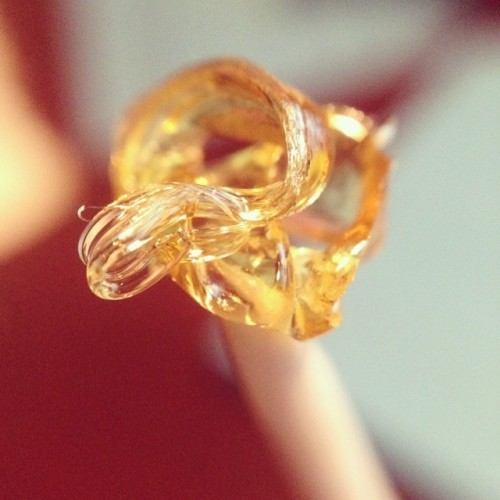 weedporndaily:  Dab time. #askchubbs #nuggetry #westcoastcure by askchubbs http://ift.tt/1nvErA1