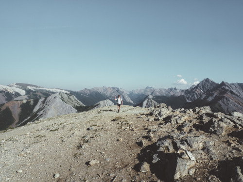 Sulphur Skyline Trail, Jasper National Park, Alberta, Canada.