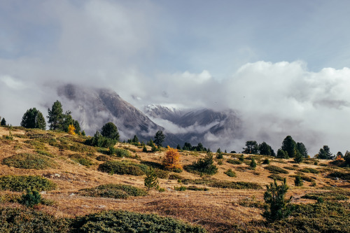 swiss national park, zernez.