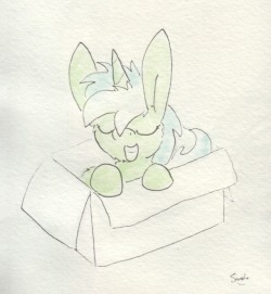 slightlyshade:Rectangular box with a pony inside. &lt;3