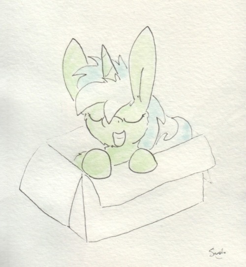 slightlyshade:Rectangular box with a pony inside. <3