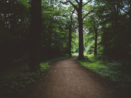 Epping Forest, Essex, England