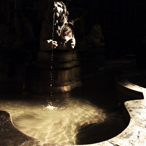fontana tra luce e ombra by mluisa_ on Flickr.Napoli, Piazza Monte Oliveto