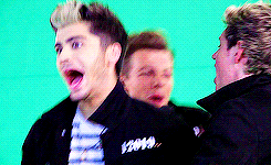 icanloveharrymorethanthis:  They are all so dumb hahaha 