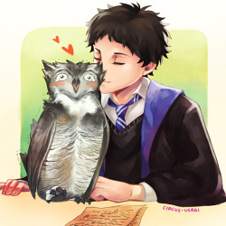girlwiththewhiterabbit:  Ever since the last quidditch match, bokuto’s been absolutely SMITTEN and has been dropping off ‘anonymous’ love letters to the ravenclaw seeker akaashi via his Animagus form every morning. in his owl mode, he freely studies