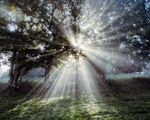 Early morning Wales.