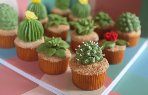 Porn Pics thecupcakemaniac:  Cacti Cupcakes 