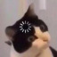 snryw