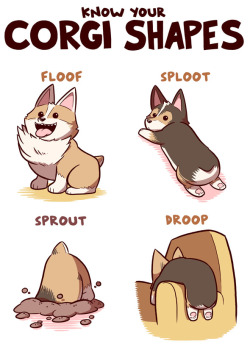 sirfrogsworth:Corgi Shapes by Sam Logan