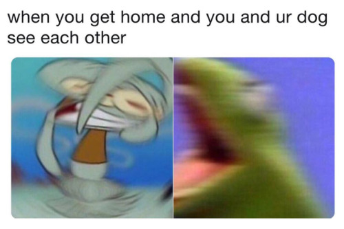 [✖‿✖]﻿