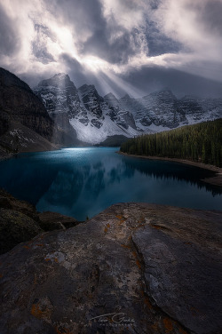 tulipnight:Moaraines Mood by Ted Gore Photography