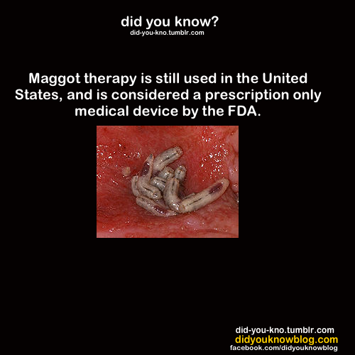 did-you-kno:  Source 