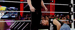 ambrosethreigns:  Brock totally booped his head. 
