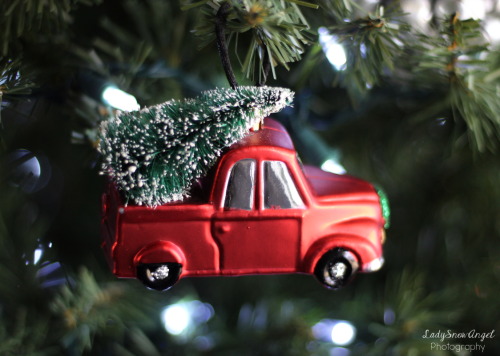 ladysnowangel:A Little Red Truck with Christmas Tree Ornament