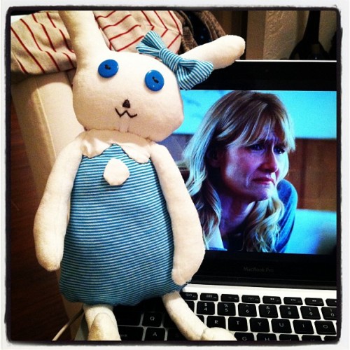 iferuniversity:  Lately I’ve been into sewing bunnies and watching Enlightened.