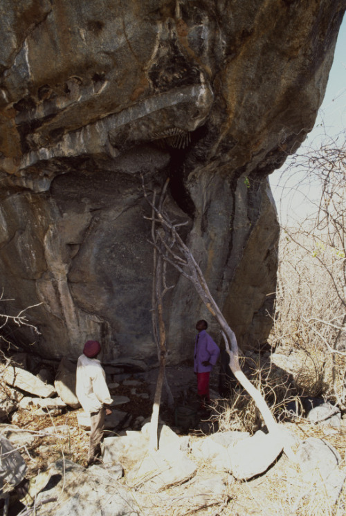 theolduvaigorge: A taste for honey: bees in African rock art by Helen Anderson, Project Cataloguer o