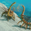 cambrian-period-enjoyer