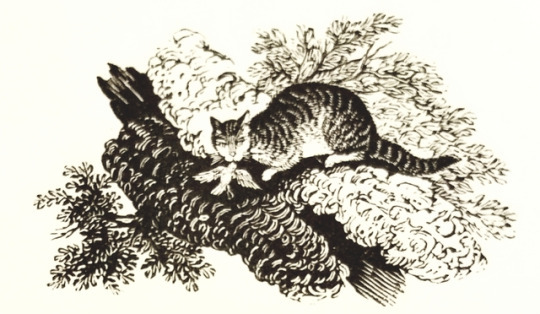 detroitlib: #Caturday! From our stacks: Illustrations from A Collection of One Hundred