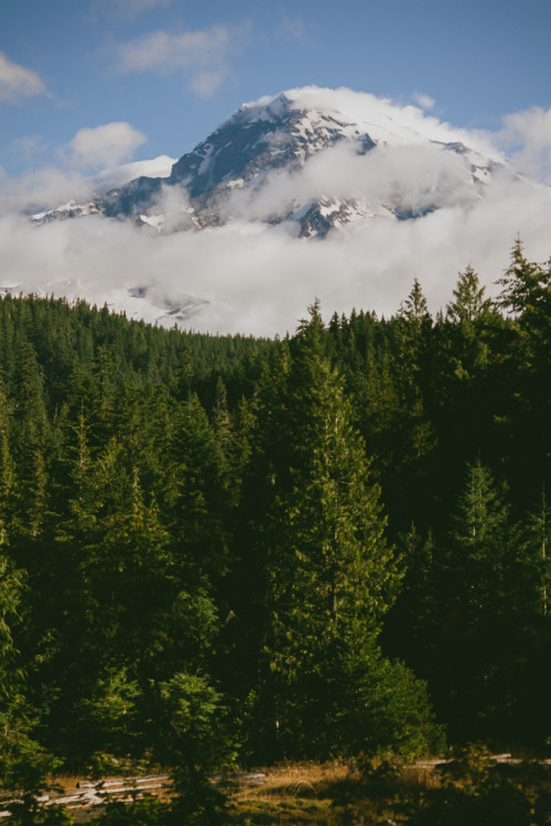 Mount Rainier National Park, Washington.