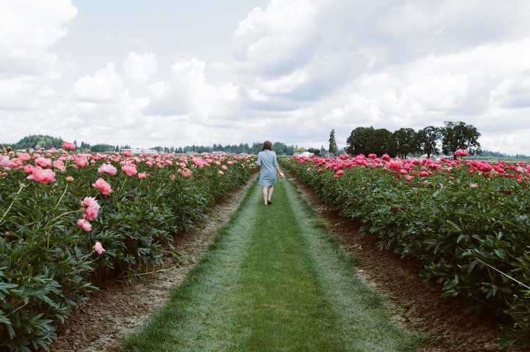 wildflowereyed:  Tips for Growing Peonies, photographed by James Fitzgerald III for