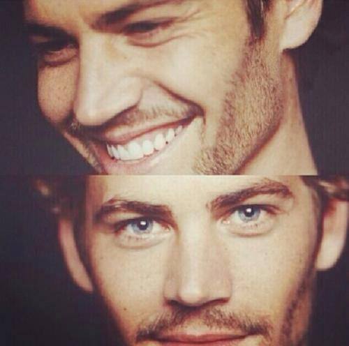 p-e-l-i-c-u-l-a-s:  Lo amare por siempre!! 