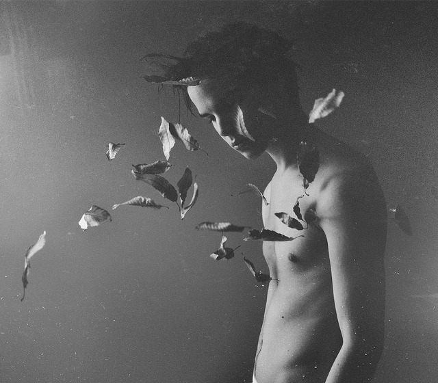 gayedon:  untitled by collinmcadoo on Flickr.