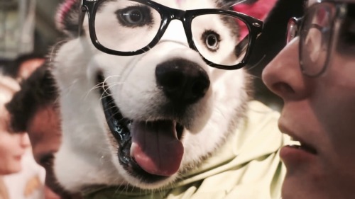 I Like Dogs, Cunt.