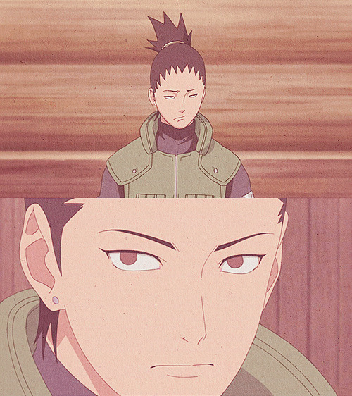 tsukkih-s:  Naruto Meme : Ten Characters (5/10)   ↳ Shikamaru Nara 