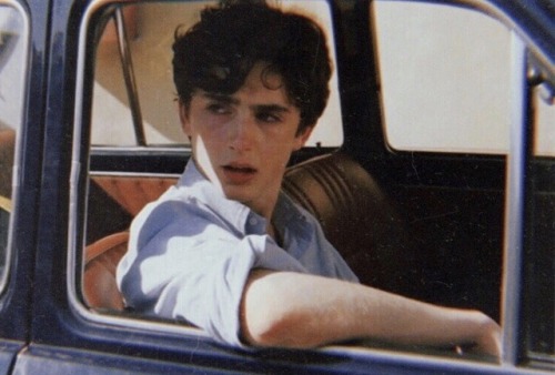 indixie: Timothée Chalamet in Call Me By Your Name (2017)