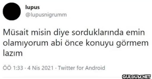 lupus @lupusnigrumm Müsait...