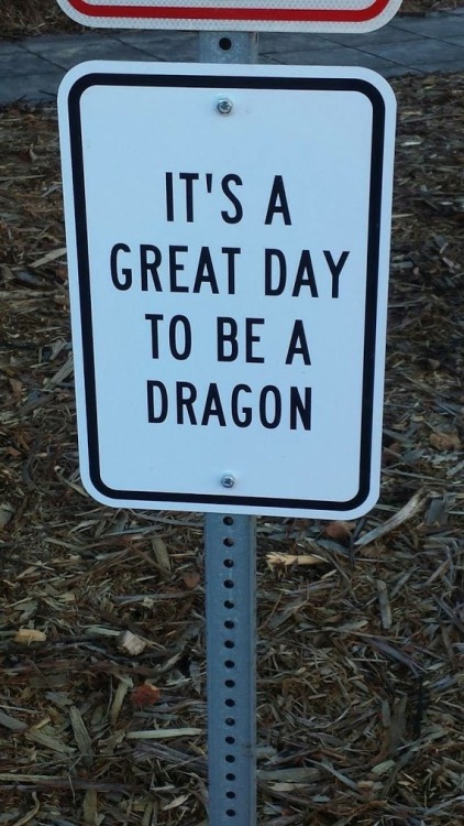 chibidragons:It’s a SIGN!
