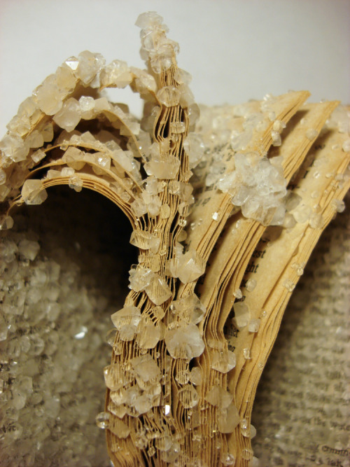 somedayforgotten:Crystallized books series created by artist Alexis Arnold to “address the materiali