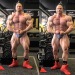 gori86musclevid:Kille Kujala