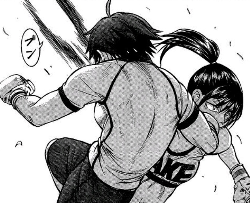 posts anime and manga sometimes