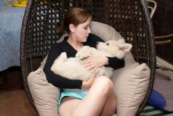awwww-cute:  Alaska, our White German Shepherd, being cradled