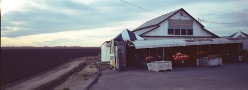 Farm Stand | Watsonville, CA, 2018