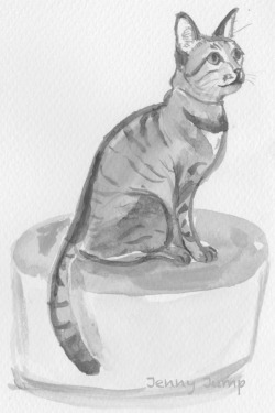 Tabby cat from a Tokyo cat cafe,
B+W edit, watercolour painting 10cm x 15cm,
Jenny Jump, 2016