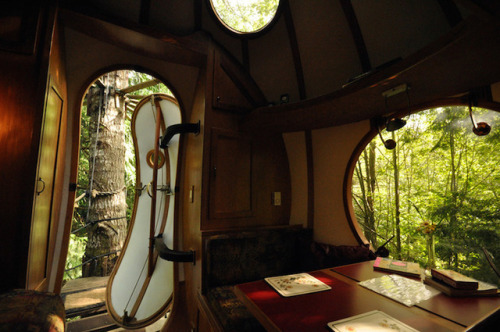 thedesigndome:Hotels Shaped as TreehouseWe have all wanted a treehouse in our childhood days, our ow