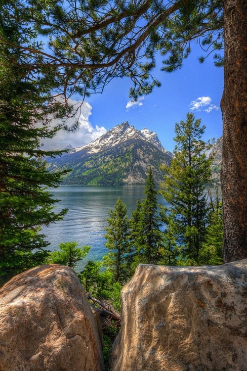 legendary-scholar:  Jenny Lake, Grand Teton