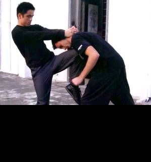 rootsofcombat2:  Wing chun methods of attack adult photos