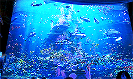 disneydaily: DisneyDaily’s Top 10 Animated Films: 8/10 Finding Dory A friend of