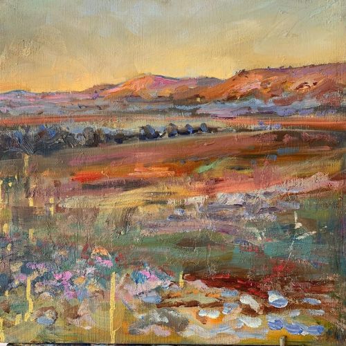 Plein air of Fowlers Gap Range, oil on linen, 39x39cm. Couple more days out here painting and Negron