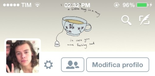 ୨୧˙˳⋆ harry styles layouts ⋆˳˙୨୧ • like or reblog if save. • don’t steal please, respect my work. • 