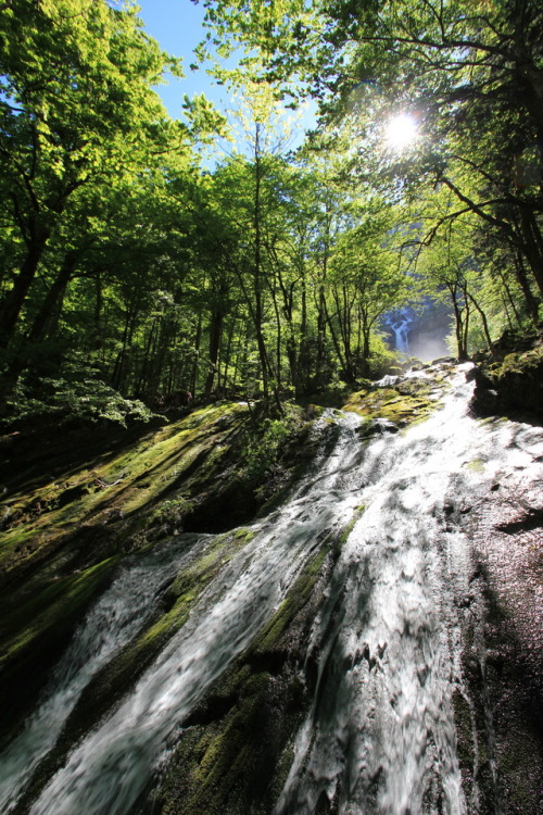 malcsawyer:Downstream from Röthbachfall, Germany’s highest waterfall.