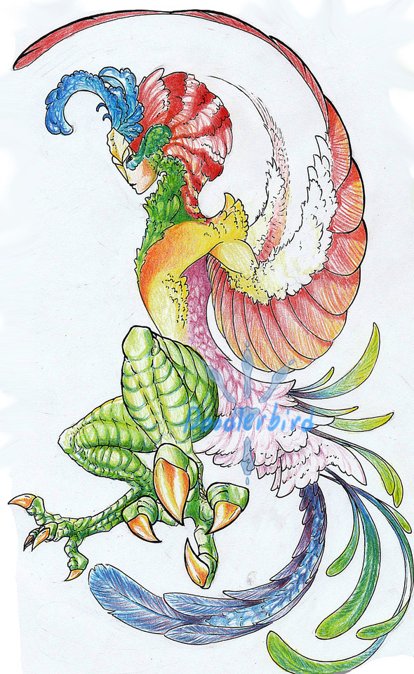 I Wanted To Play With Some New Ink Pens And Get Back Into My Old Color Pencils. So A Bird Of Paradise