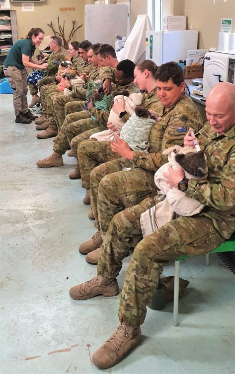 catsbeaversandducks:  “16 Regiment Emergency Support Force have been using their rest periods to lend a helping hand at the Cleland Wildlife Park , supporting our furry friends during feeding time and by building climbing mounts inside the park. A great
