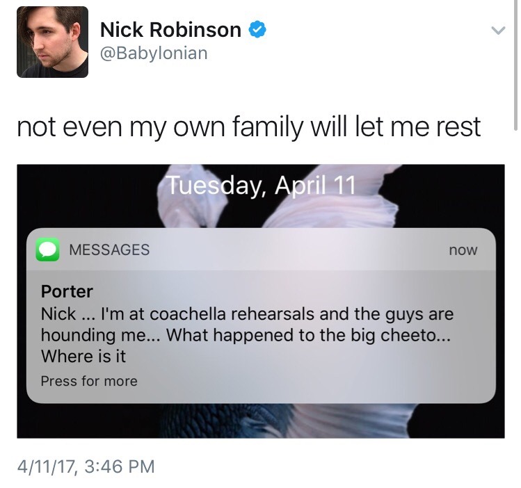 nick robinson and porter robinson