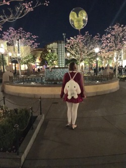 The end of the night at Disneyland earlier
