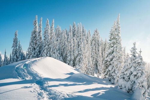 visitportangeles:  Snow covered hills, captured